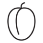 albaricoque